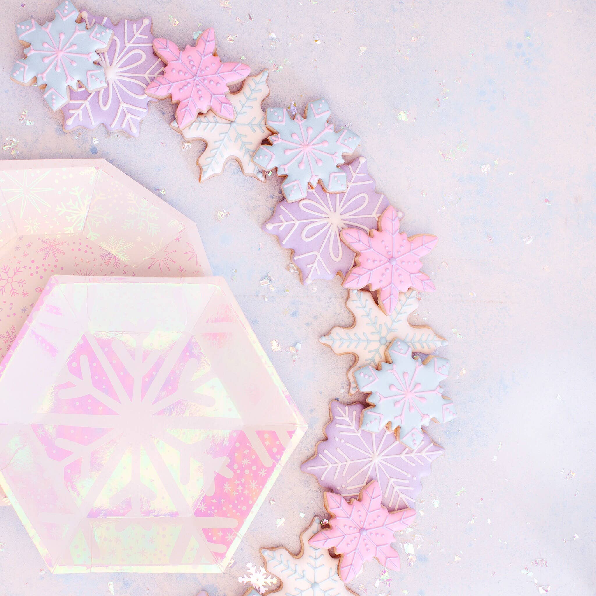 Frosted Dinner Plates - 8 PK