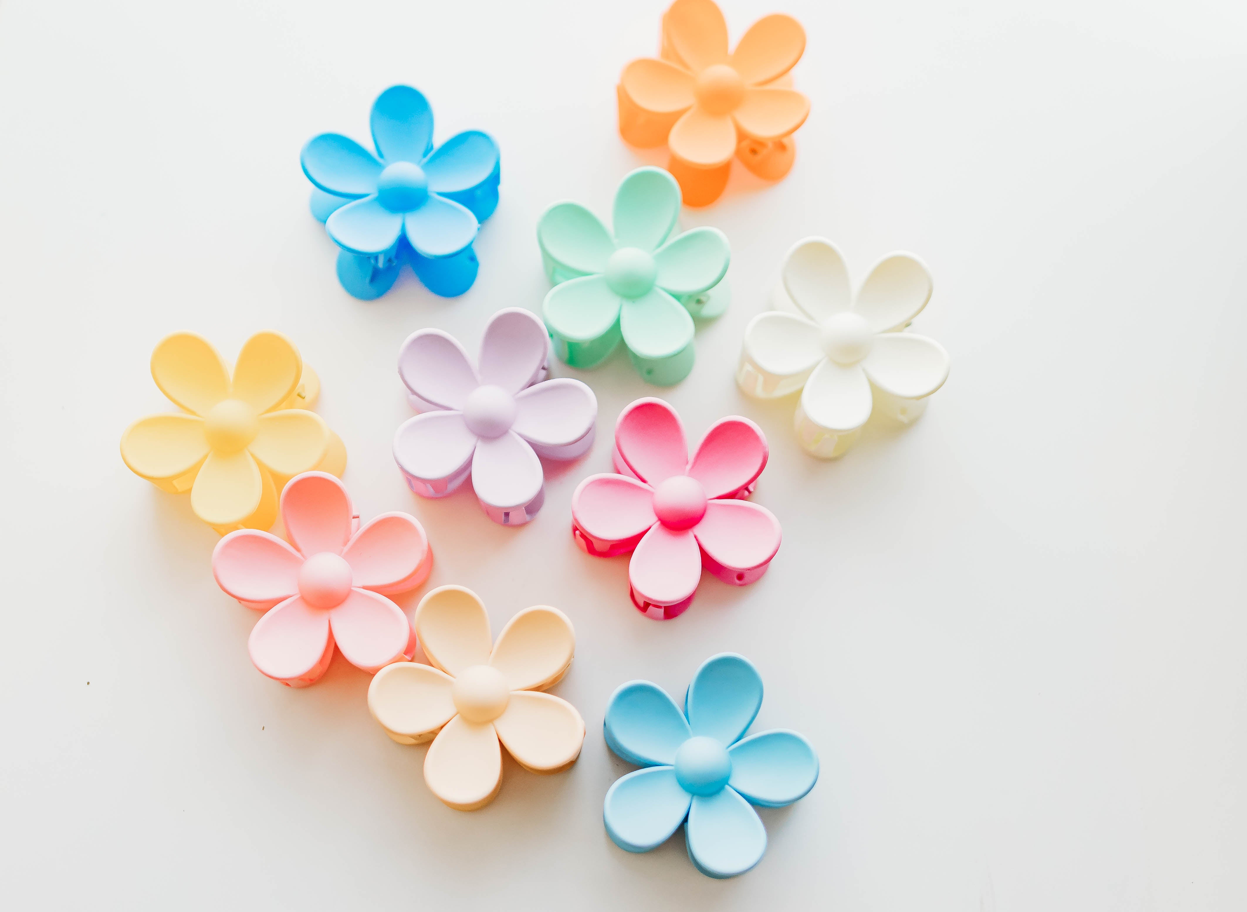 Flower Claw Clip Set - 10 pc