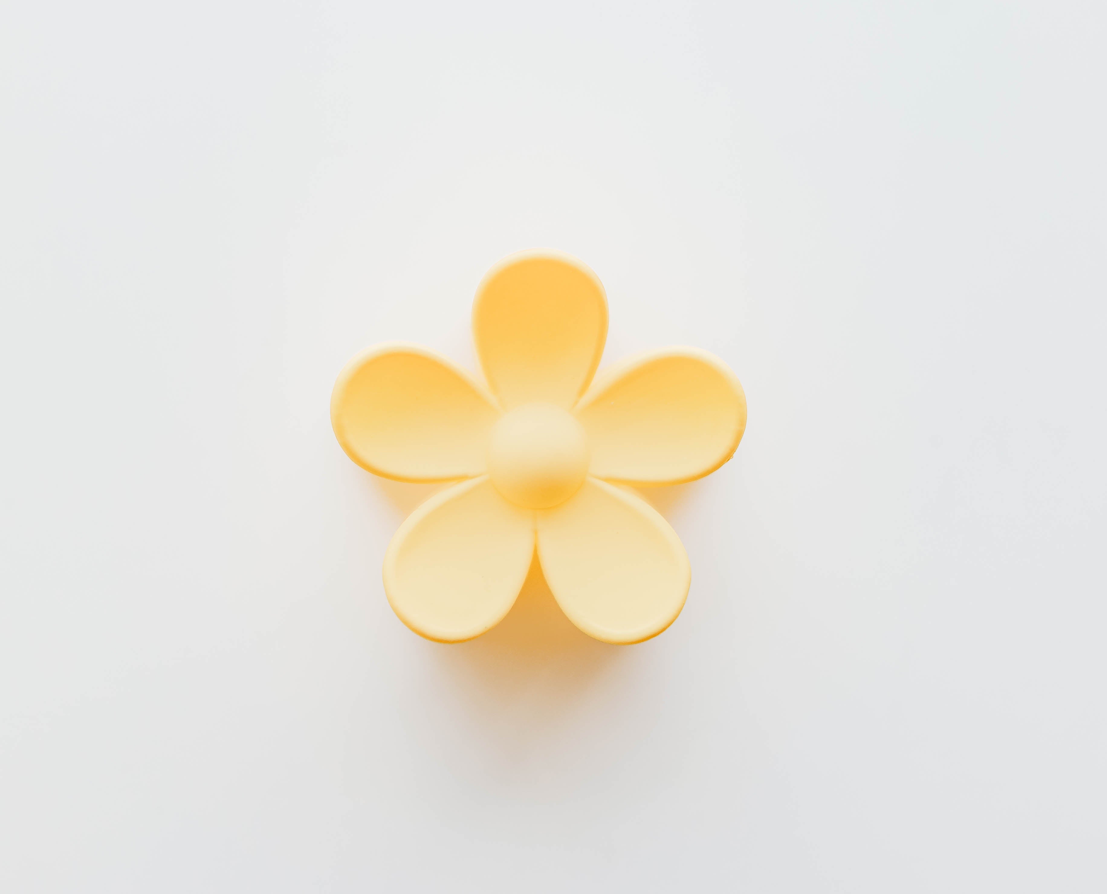 Flower Claw Clip Set - 10 pc