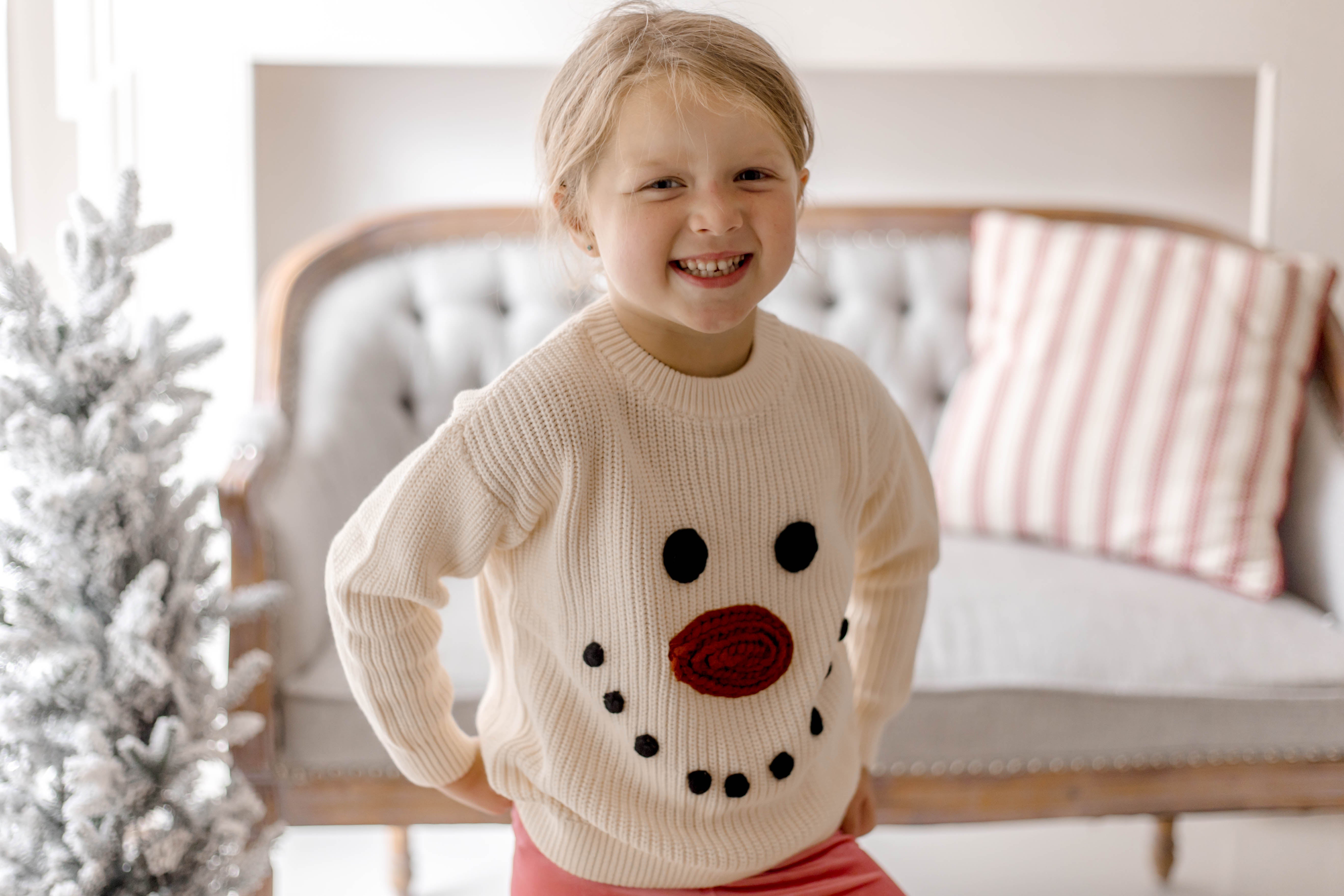 Embroidered Sweater - Frosty