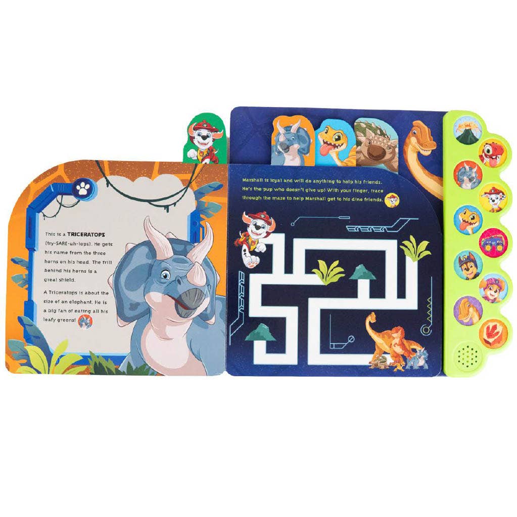 PAW Patrol Dino Island