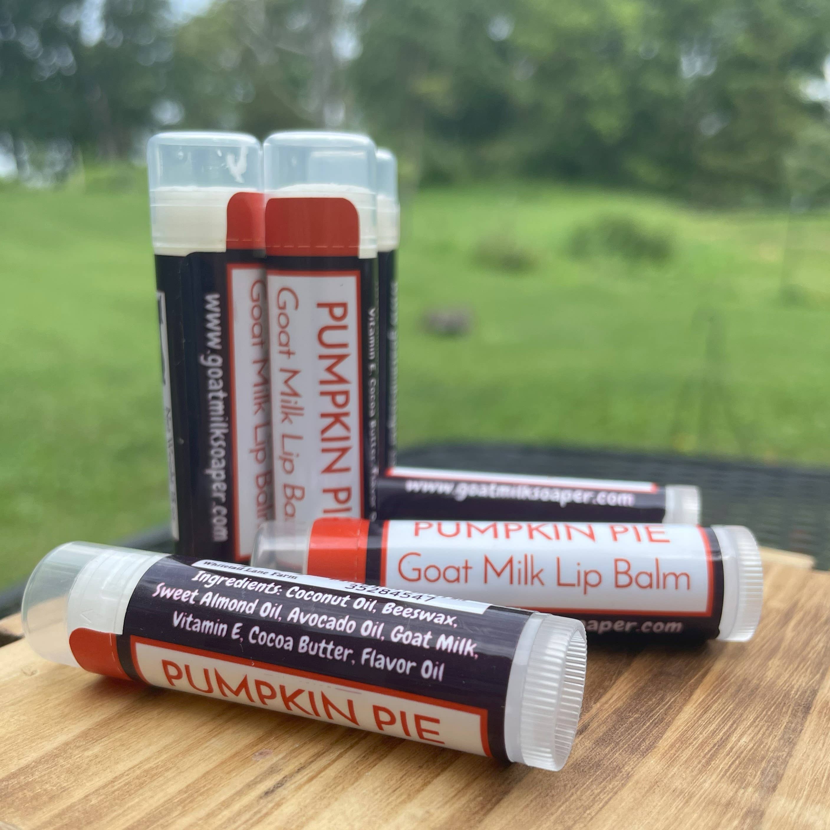Pumpkin Pie Goat Milk Lip Balm: Retail Ready