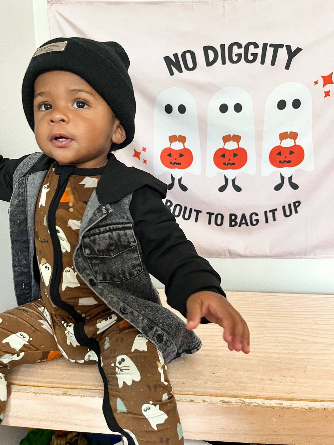 No Diggity Banner 36 X 26"