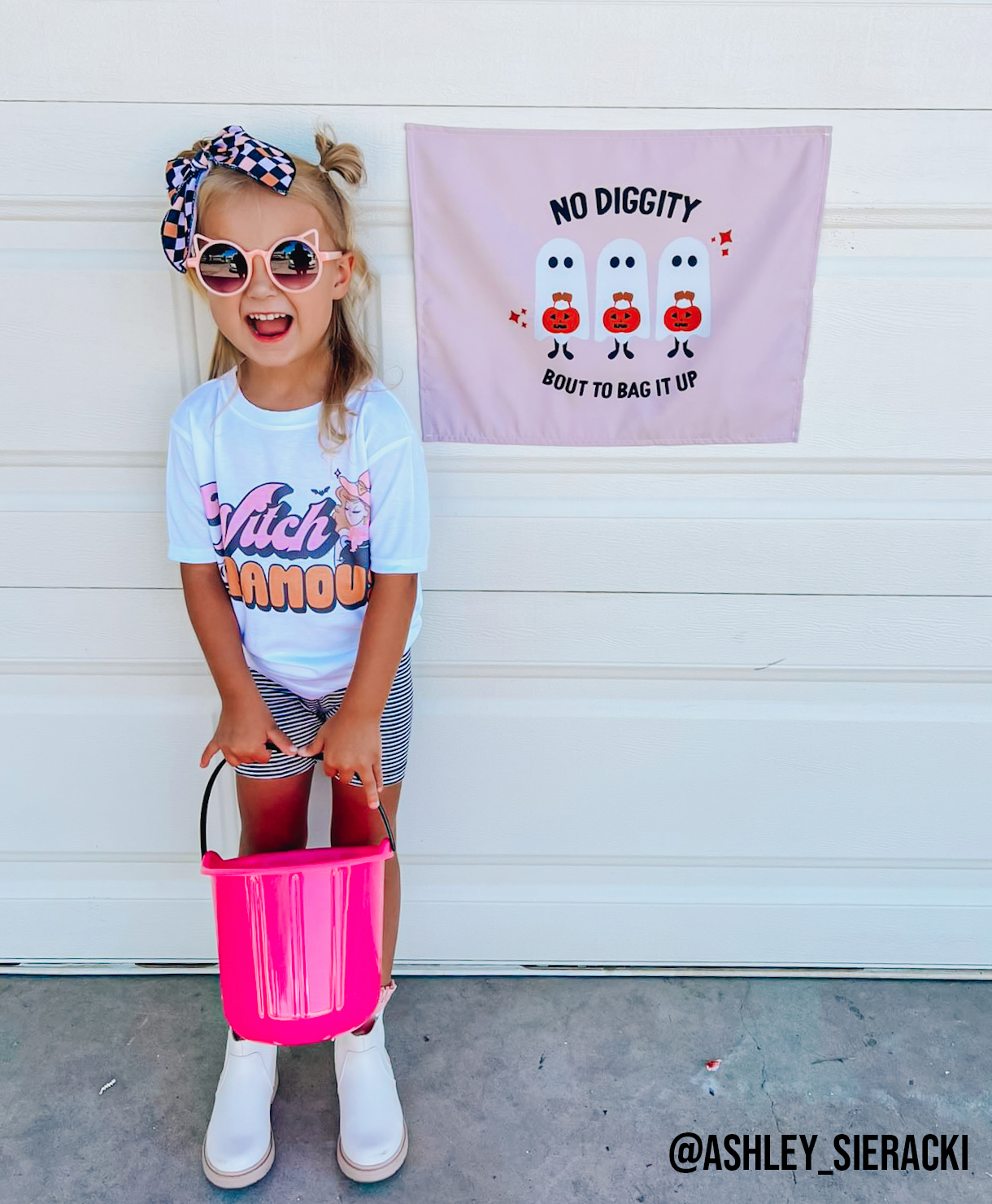 No Diggity Banner 36 X 26"