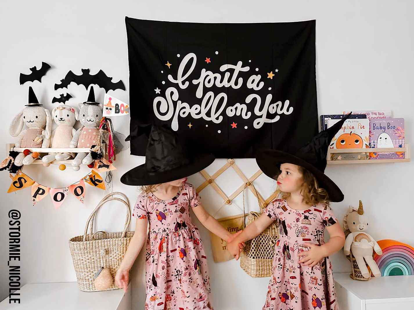 I Put A Spell On You Banner 36"X26"