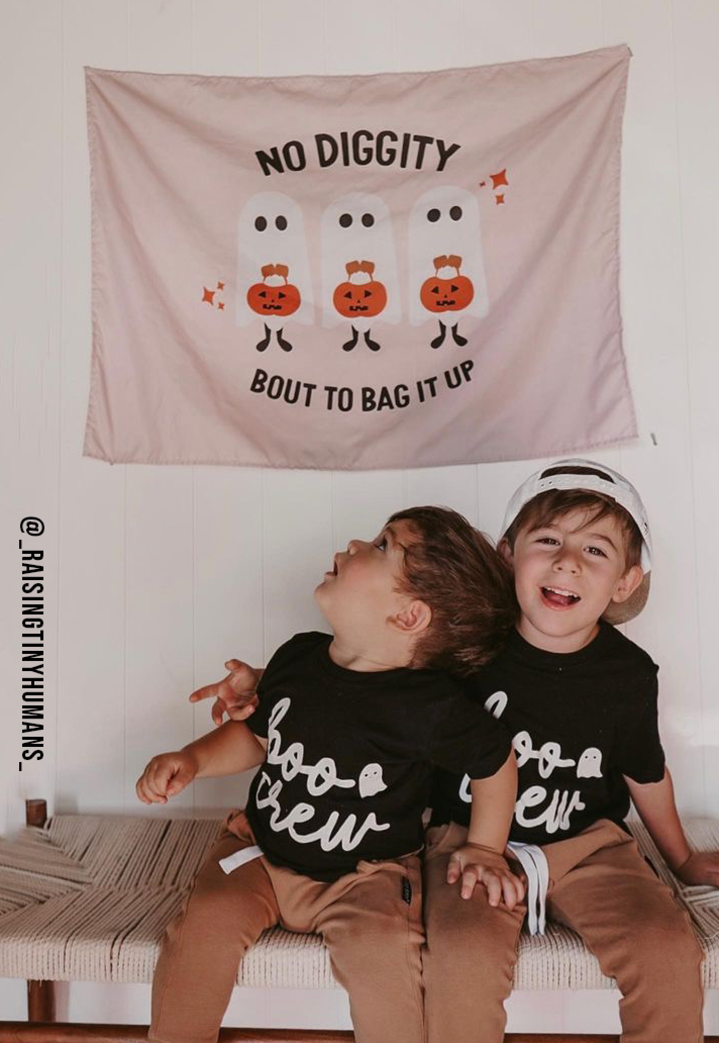 No Diggity Banner 36 X 26"
