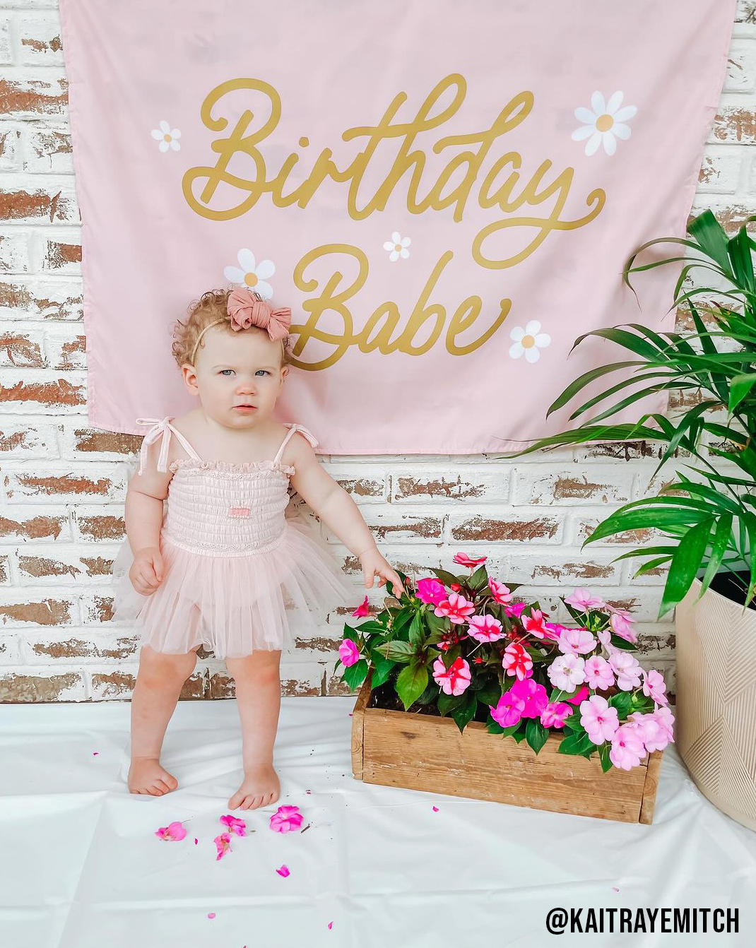 Birthday Babe Banner 36"X26"