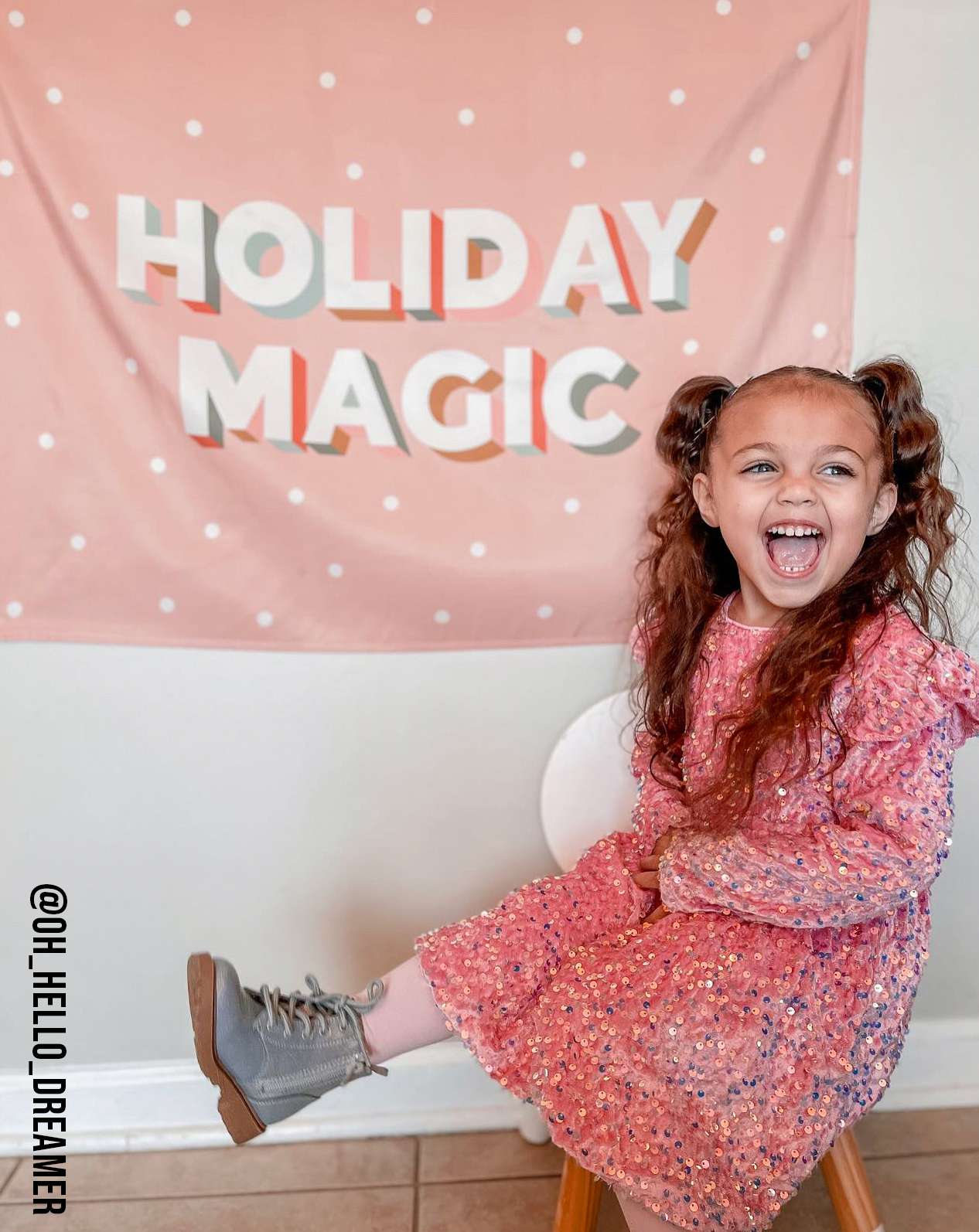 Holiday Magic Banner (Pink) - 36x26"