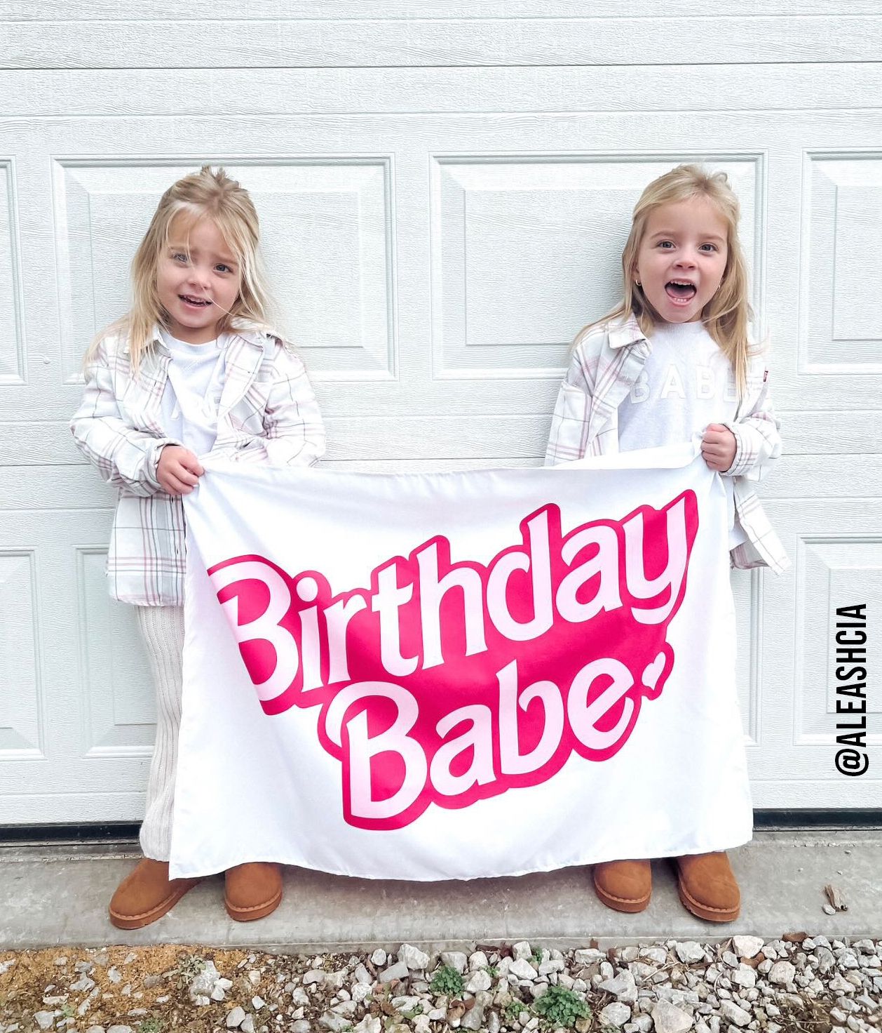 Birthday Babe Banner (Barbie Inspired) 36x26"