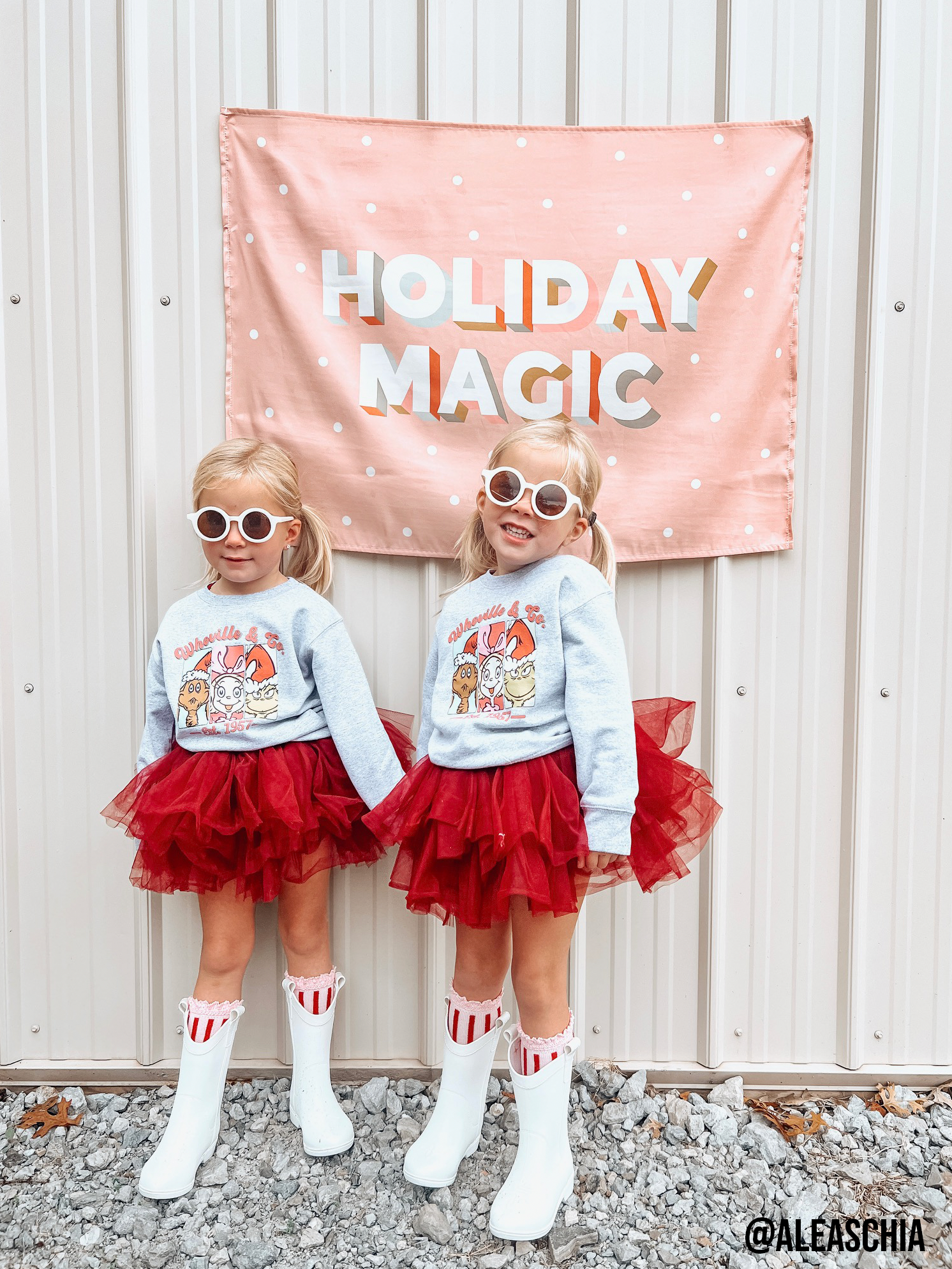 Holiday Magic Banner (Pink) - 36x26"