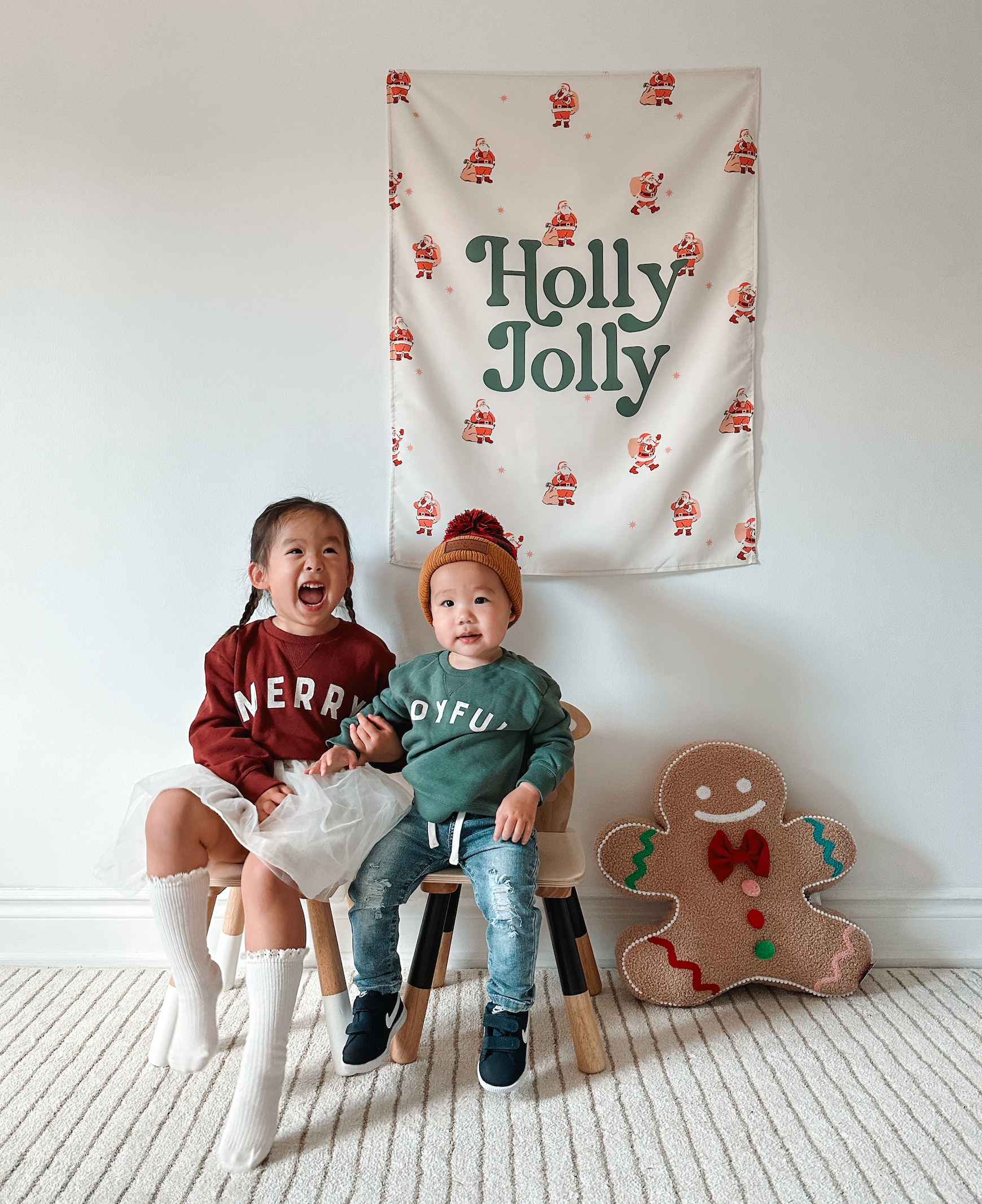 Holly Jolly Banner -  36x26"