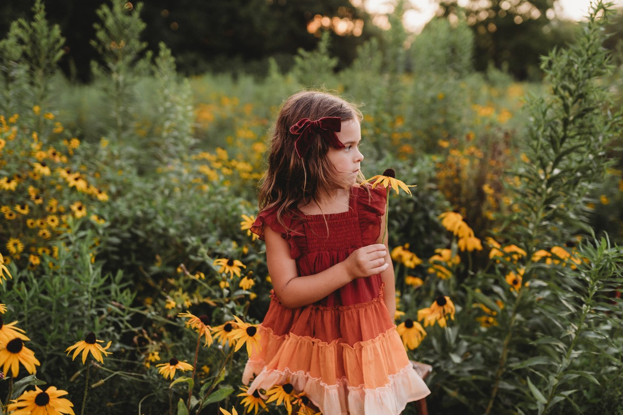 Brielle Shimmer Dress - Pumpkin Spice