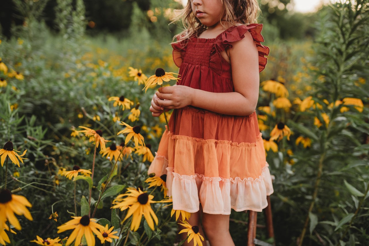 Brielle Shimmer Dress - Pumpkin Spice